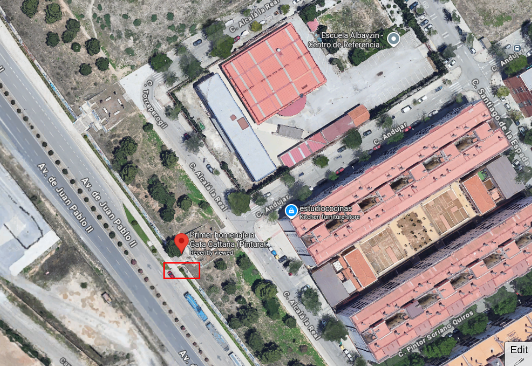 google bird eye view