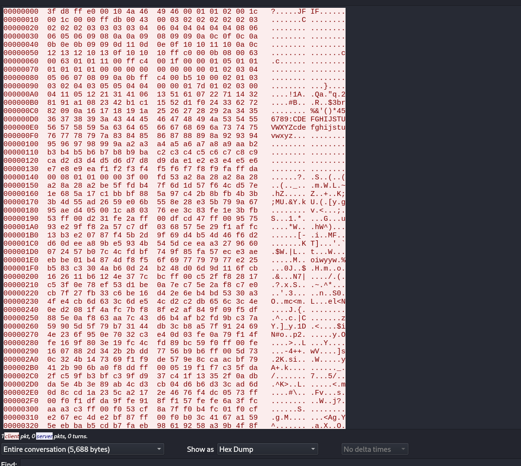 hex dump as seen in wireshark