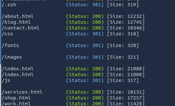 .ssh looks interesting