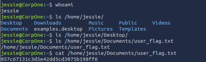 user.txt